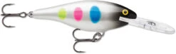 Rapala Shad Rap 2 1/2 Inch Medium Diving Crankbait SR06 -Cheap Fishing Store SR06BWB 1a0eb734 db31 436d 83fb 0600655b06f2