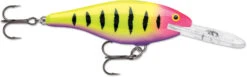 Rapala Shad Rap 2 1/2 Inch Medium Diving Crankbait SR06 -Cheap Fishing Store SR06HSP 261199b0 2f53 4cbd 974b e01196f8cc9b