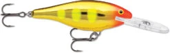 Rapala Shad Rap 2 1/2 Inch Medium Diving Crankbait SR06 -Cheap Fishing Store SR06JLC 737dd411 ad1a 467b a886 ba70c239a658