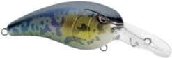 SPRO Mike McClelland RkCrawler MD 55 Medium Diving Crankbait 28 SPRO Mike McClelland RkCrawler MD 55 Medium Diving Crankbait -Cheap Fishing Store SRCMD55GBY Goby dd4a042b 83d9 4bd4 bfa0 d678dedf4295