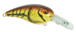 SPRO Mike McClelland RkCrawler MD 55 Medium Diving Crankbait 24 SPRO Mike McClelland RkCrawler MD 55 Medium Diving Crankbait -Cheap Fishing Store SRCMD55MCW 2