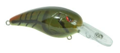 SPRO Mike McClelland RkCrawler MD 55 Medium Diving Crankbait 26 SPRO Mike McClelland RkCrawler MD 55 Medium Diving Crankbait -Cheap Fishing Store SRCMD55PGR 2