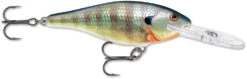 Rapala Shad Rap 2 Inch Medium Diving Crankbait SR05 -Cheap Fishing Store SR BG 7062a3b8 36b4 4377 b803 5aed2a2c851a