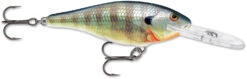 Rapala Shad Rap 2 1/2 Inch Medium Diving Crankbait SR06 -Cheap Fishing Store SR BG 9b8dd613 404b 4488 960c 7161922af8f3