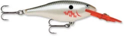 Rapala Shad Rap 2 Inch Medium Diving Crankbait SR05 -Cheap Fishing Store SR BP