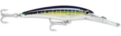 Rapala X-Rap Magnum 40 Big Game Slash Bait -Cheap Fishing Store Sailfish UV 49f7a10f d6dd 4b31 86c5 efe898da306a