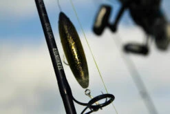 Temple Fork Outfitters Seahunter Spinning Rods -Cheap Fishing Store Seahunter Bottom Banner 3 99a9073b 1467 4106 a835 1795aa8022a3