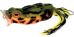 River2Sea Spittin' Wa 70 Topwater Frog -Cheap Fishing Store Spittinwa23 firebelly 6d9c9f7c 22f1 4c25 aa83 74a151dadd06