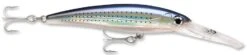 Rapala X-Rap Magnum 15 Big Game Slash Bait -Cheap Fishing Store Spotted Minnow 69a00102 1bb2 44d8 acfe c39acffec822