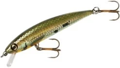 Rebel TD47 Tracdown Ghost Minnow 2 1/2 Inch Barbless Hard Minnow 9 Rebel TD47 Tracdown Ghost Minnow 2 1/2 Inch Barbless Hard Minnow -Cheap Fishing Store TD47542