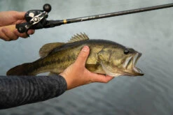 Temple Fork Outfitters Tactical Bass Baitcasting Rods -Cheap Fishing Store Tactical Bass Bottom Banner Lifestlye 1 58dad5a5 5cde 4d45 abec 10983a08d6d8