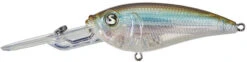 River2Sea Tactical DD 3 Inch Deep Diving Crankbait -Cheap Fishing Store TacticalDDCrank7511AClearWaterMinnow a0bfdd70 ee46 4b86 969b fe356401e331