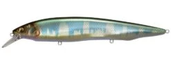 Megabass Kanata Jerkbait -Cheap Fishing Store Wagin Hasu KT 5e065057 94aa 4b11 95e3 75e8bd13a292