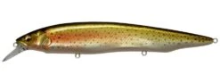Megabass Kanata Jerkbait -Cheap Fishing Store Wagin Niji 2 bbf58642 7ea6 4d65 aa6c 17c822687cc3