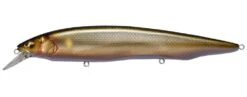 Megabass Kanata Jerkbait -Cheap Fishing Store Wagin Ochi Ayu 1145ebe9 fbcf 4343 993b 4c0e7f599c08