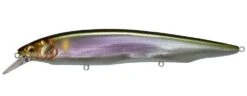 Megabass Kanata Jerkbait -Cheap Fishing Store Wagin Setsuki Ayu 26733aab 41ec 429e b177 e056fe00ddce