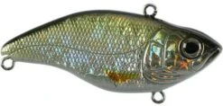 SPRO Aruku Shad Jr. Lipless Crankbait 33 SPRO Aruku Shad Jr. Lipless Crankbait -Cheap Fishing Store Wild Shiner 8103e372 3ba3 4bb4 bfe2 10f4f96473ff