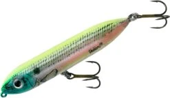 Heddon Super Spook Jr. 3 1/2 Inch Topwater Walker -Cheap Fishing Store X9236HOS