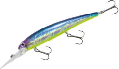 Bandit Suspending Minnow Walleye Deep -Cheap Fishing Store bdtsm01 blueshiner