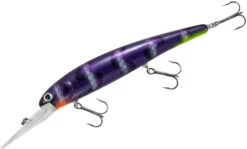 Bandit Suspending Minnow Walleye Deep -Cheap Fishing Store bdtsmol161 sharkbait