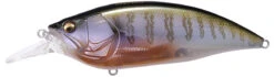Megabass Big-M 4.0 Magnum Deep Diving Crankbait 20 Megabass Big-M 4.0 Magnum Deep Diving Crankbait -Cheap Fishing Store big m40 secret gill 690f3e67 428c 468d 8400 a2d2a0ef7018