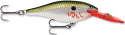 Rapala Shad Rap 2 3/4 Inch Medium Diving Crankbait SR07 -Cheap Fishing Store bleeding 2Bolive 2Bflash fbfdec03 6a18 4e40 94ed cea596d27917