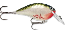 Rapala DT Series Crankbait DT4 -Cheap Fishing Store bleeding olive shiner b6263b92 6a43 45af 9691 3e5bd20a5503