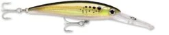 Rapala X-Rap Magnum 40 Big Game Slash Bait -Cheap Fishing Store bunker 628d1cb7 16e9 4812 9d82 e4fb9334c5e2