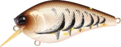 Lucky Craft LC 2.5 Shallow Squarebill Crankbait -Cheap Fishing Store cameleon brown craw