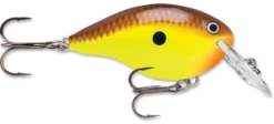 Rapala DT Series Crankbait DT4 -Cheap Fishing Store chartreuse brown 74f30f15 7fc4 408a a73f 846212ded236