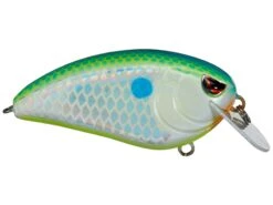 SPRO John Crews Fat John 60 Shallow Crankbait -Cheap Fishing Store citrus shad