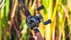 Daiwa Steez CT SV Baitcasting Reel -Cheap Fishing Store daiwa steez ct sv 5