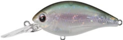 Evergreen International CR-8 Medium Diving Crankbait 23 Evergreen International CR-8 Medium Diving Crankbait -Cheap Fishing Store evergreen CR 10 440 ghost wakasagi 3d9928f0 9fc4 4dde bf94 43a592b3e0c6
