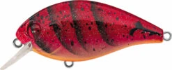 Evergreen International SH-3 Shallow Squarebill Crankbait -Cheap Fishing Store evergreen SH 3 223 speed craw