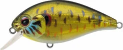 Evergreen International SH-3 Shallow Squarebill Crankbait -Cheap Fishing Store evergreen SH 3 286 skeleton pumpkinseed