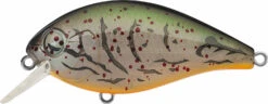 Evergreen International SH-3 Shallow Squarebill Crankbait -Cheap Fishing Store evergreen SH 3 363 albino craw