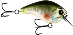 13 Fishing Scamp 1.5/2.5 Squarebill Crankbait -Cheap Fishing Store flipDream Gill