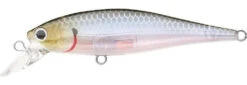 Lucky Craft Pointer 65 Suspending Jerkbait -Cheap Fishing Store ghost 2Bminnow