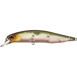 Duo Realis Jerkbait 100SP Suspending -Cheap Fishing Store ghost minnow 27c6426f 1880 4fd8 bd48 44d6ed15bf0b