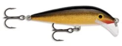 Rapala SRCD07 Scatter Rap Countdown 07 Balsa Minnow 19 Rapala SRCD07 Scatter Rap Countdown 07 Balsa Minnow -Cheap Fishing Store gold 964c47e3 8c9d 4d6b 8cb9 47d6f6a6698c