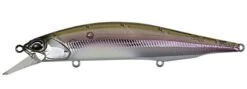 Duo Realis Jerkbait 110SP Suspending -Cheap Fishing Store komochi wakasagi cddcb7cd 3c6b 40a5 93b9 fa78256d7c92