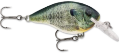 Rapala DT Series Crankbait DT4 -Cheap Fishing Store live bluegill 081b953a 2495 4e91 8399 d3acc222bfc4