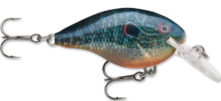 Rapala DT Series Crankbait DT4 -Cheap Fishing Store live pumpkinseed 329bf6f4 4258 4a12 9973 80c87ede8f9b