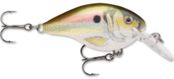 Rapala DT Series Crankbait DT4 -Cheap Fishing Store live river shad 99811d93 def6 46c2 847f 2cc70509e248