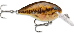 Rapala DT Series Crankbait DT4 -Cheap Fishing Store live smallmouth bass e408e51d bf23 4c82 83cd 7f8d7407e433
