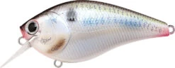 Lucky Craft LC 2.5 Shallow Squarebill Crankbait -Cheap Fishing Store live threadfin shad