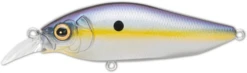 Megabass Flap Slap -Cheap Fishing Store megabass sexy shad