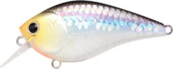 Lucky Craft LC 2.5 Shallow Squarebill Crankbait -Cheap Fishing Store ms 2Bimpulse 2Bshad