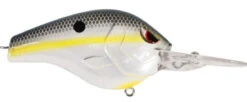 SPRO Fat Papa 70 Deep Diving Crankbait -Cheap Fishing Store nast shad
