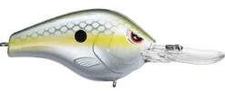 SPRO Fat Papa 55 Medium Diving Crankbait -Cheap Fishing Store nasty herring
